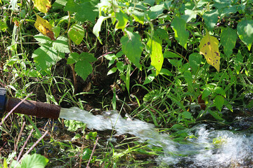 A hose is connected to a water source, and the water is flowing out of it