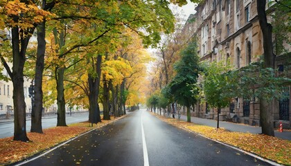 Autumn Scene of an Empty Road in a Quiet City Lined with Vibrant Orange and Yellow Foliage, Capturing the Peaceful Atmosphere of Urban Streets in the Fall Season