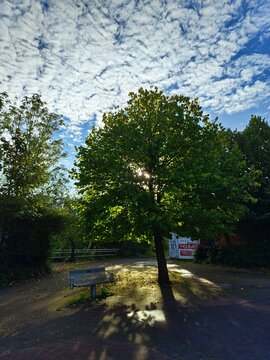 park in autumn