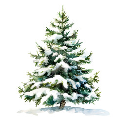 A watercolor painting of Natural Christmas Tree, isolated on a white background. Christmas Tree vector.