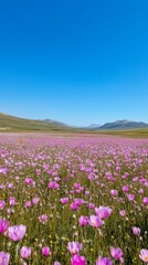 Pink flowers bloom against a clear blue sky during daytime in a vibrant garden