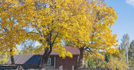 House with a red roof sits in front of a tree with yellow leaves