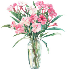 A watercolor drawing of Oleander Blossom, isolated on a white background. Oleander Blossom vector.