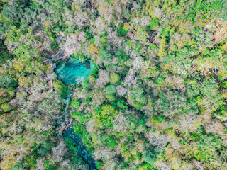 Itchetucknee Springs; Airplane View, FL