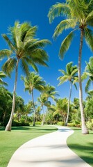 Lush tropical pathway winding through palm trees under a clear blue sky on a sunny day