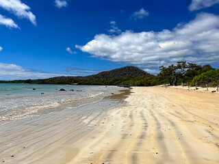 The hidden beauty of Playa el Garrapatero Beach on Santa Cruz Island on Galapagos Archipelago