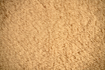 Fur texture