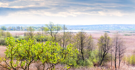 Spring landscape with a river in the valley and trees with the first fresh green leaves