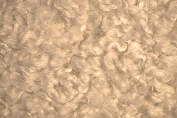 Fur texture