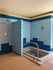 Cold plunge pool and shower in wellness