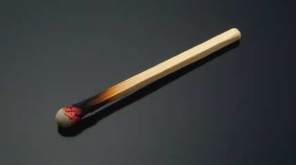 A close-up shot of a burnt matchstick against a dark background. The matchstick is mostly consumed by fire, with only a small portion of the wooden stick remaining.
