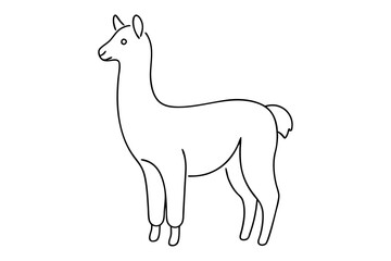 Alpaca Line Drawing Elegant Line Art Vector Illustration