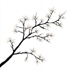 Elegant Black Silhouette of a Tree Branch With Delicate White Blossoms Set Against a Clean White Background