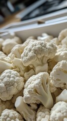 Chef preparing fresh vegetables in a bustling kitchen during evening hours