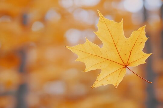 Bright yellow maple leaf gently floating against a blurred autumn background filled with warm colors - Powered by Adobe