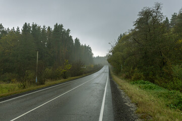 A road with trees on both sides and a lot of rain