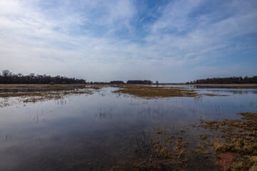 Calm lake with a cloudy sky in the background