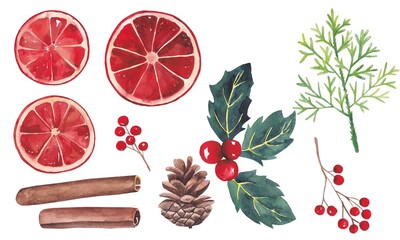 Christmas set with red dried orange, cinnamon, berries and cones. Hand-painted in watercolor