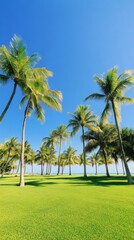 Lush palm trees sway gently under a clear blue sky by the tranquil ocean shore