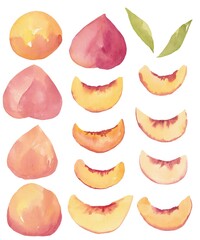 Peach watercolor hand painting illustration set