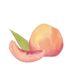 Peach fruit watercolor illustration on a white background.