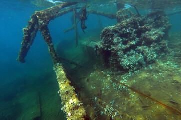 Shipwreck near Rose Beach in Adriatic Sea, Montenegro