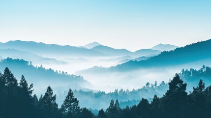 Misty Mountains and Pine Trees Landscape
