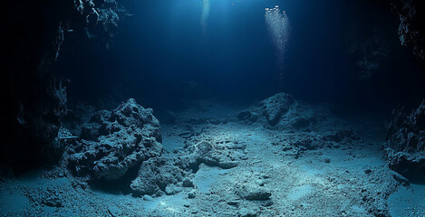 Animal in the Deep Sea