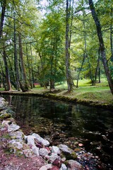 Vrelo Bosne Park in Bosnia - a brook 