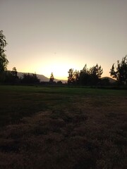 sunset over the field