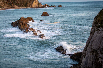 Lone 13 week old piglet in her enclosure, Image shows a single Large white crossbred piglet 
