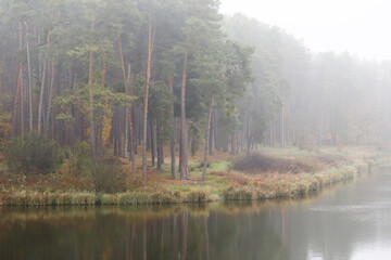 Foggy lake landscape. Melancholic and mysterious atmosphere. Rainy day by the water. Sad and...