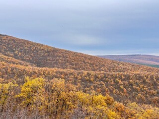 autumn landscape in the mountains in autumn