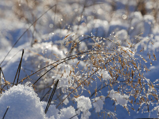 Glistening snow background. Close-up. 