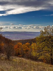 Fototapeta premium autumn landscape in the mountains