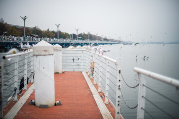 view of the city from the river