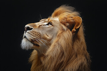 Powerful Portrait of a Majestic Lion, Emphasizing Strength, Wildlife, and Nature, Ideal for Conservation Themes and Educational Visuals