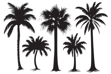 Palm tree silhouette set vector design