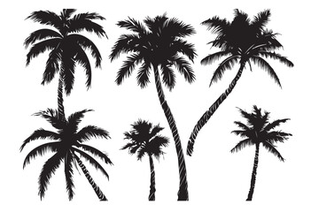 Palm tree silhouette set vector design