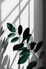 A white wall adorned with a plethora of vibrant green leaves creating a whimsical and enchanting display. Generative AI