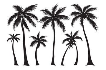 Obraz premium Palm tree silhouette set vector design