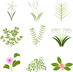 Beach and tropical vegetation 2