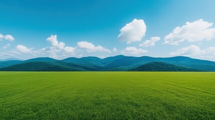 A vast, open field with a clear blue sky and a few clouds