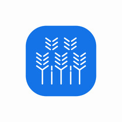 gluten wheat icon sign vector