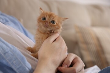 Teenage boy with his cute ginger kitten indoors, closeup