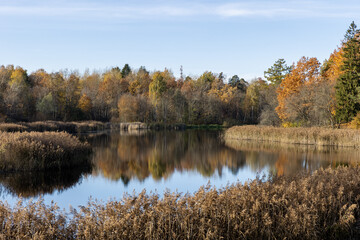 Russia. Leningrad region. Views of the Priory Park in autumn.