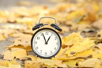 Autumn time. Alarm clock and fallen leaves on pathway outdoors, closeup