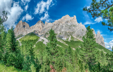 Lush forest at the foot of the Rosengarten Group, Dolomites