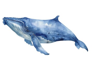 Blue watercolor illustration of a majestic humpback whale swimming gracefully in the ocean. Aquatic life and marine conservation concept.