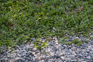 stones on a gravel road in Rio de Janeiro.